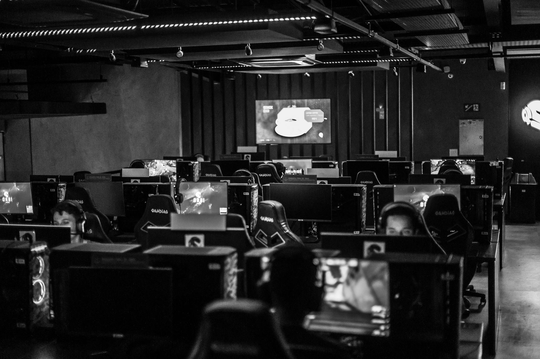 VITAKING Rainbow Six Siege betting guide